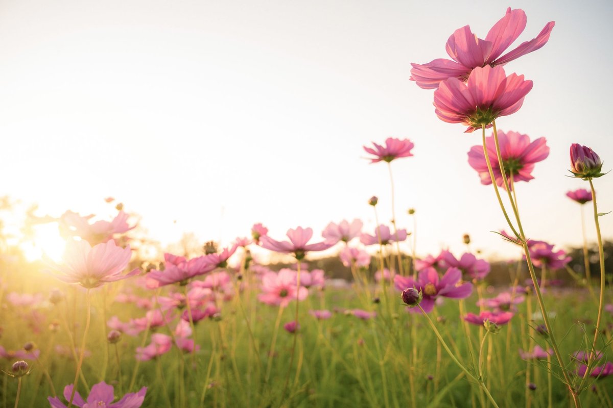 April - Madison Square Park-converted-from-png