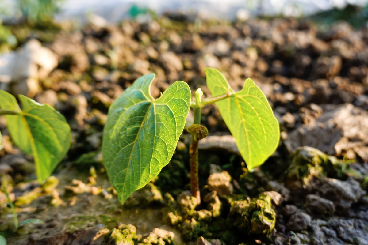 April 2026 Headline-converted-from-png