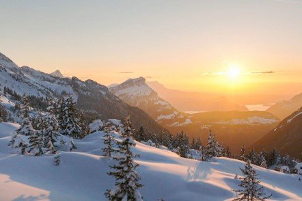 Cover letter Jan 2026