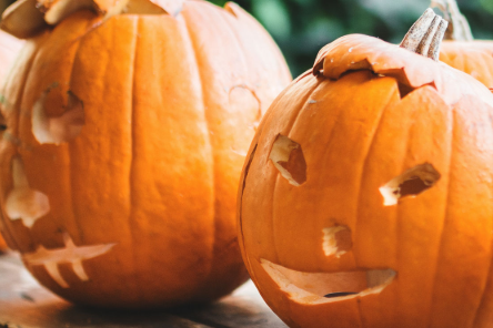 October NL pumpkins 2025