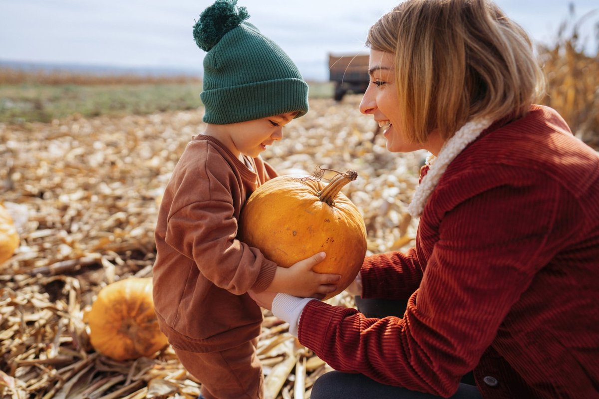 Pumpkin Header (All Sites)