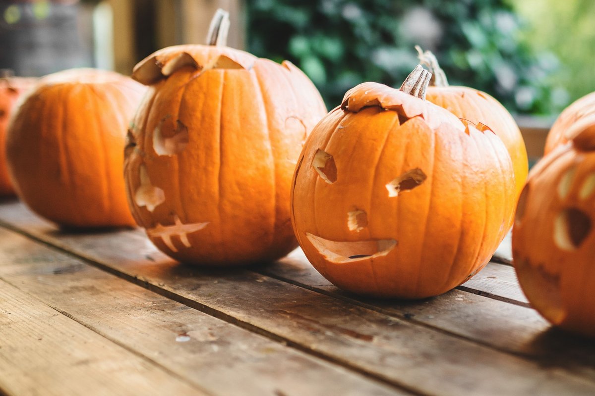 Pumpkin Painting - EMA & NC