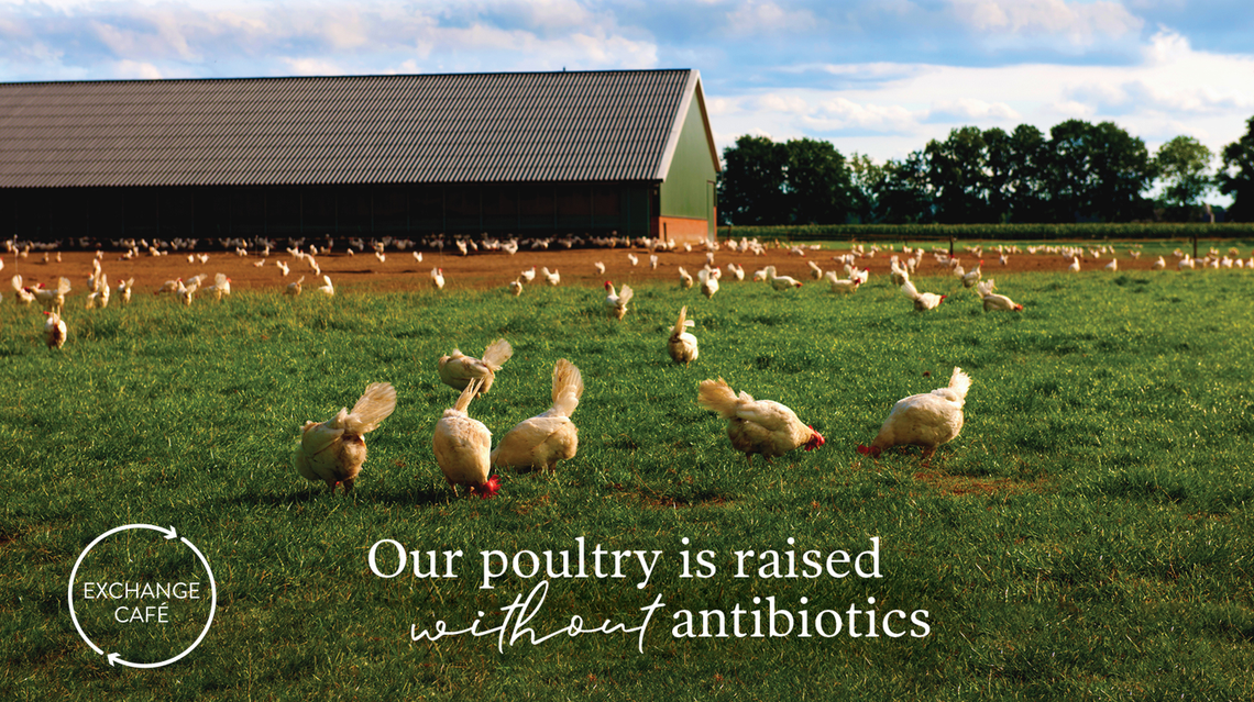 Raleigh Poultry raised without antibiotics Arpil 2024.PNG