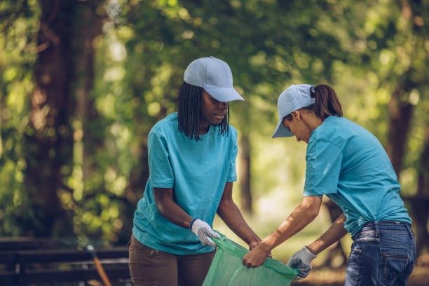 Sustainability Article-converted-from-png