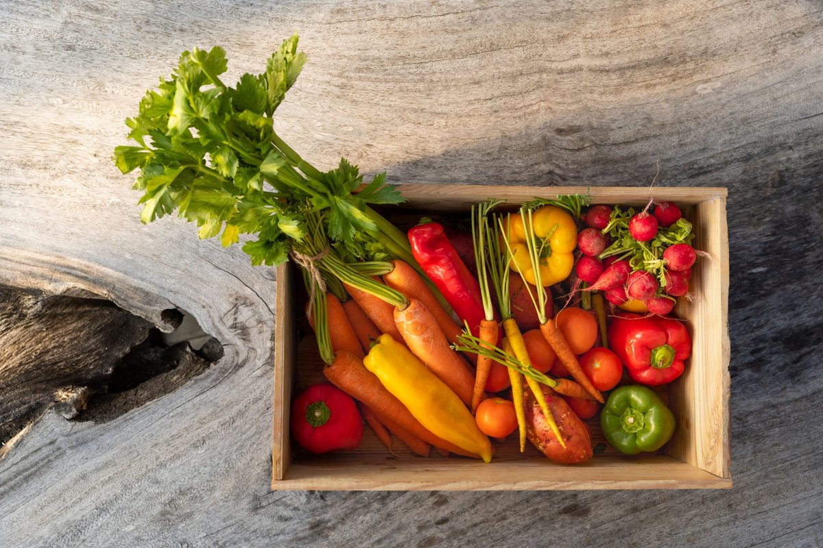 Vegetables - Maya Feb Article