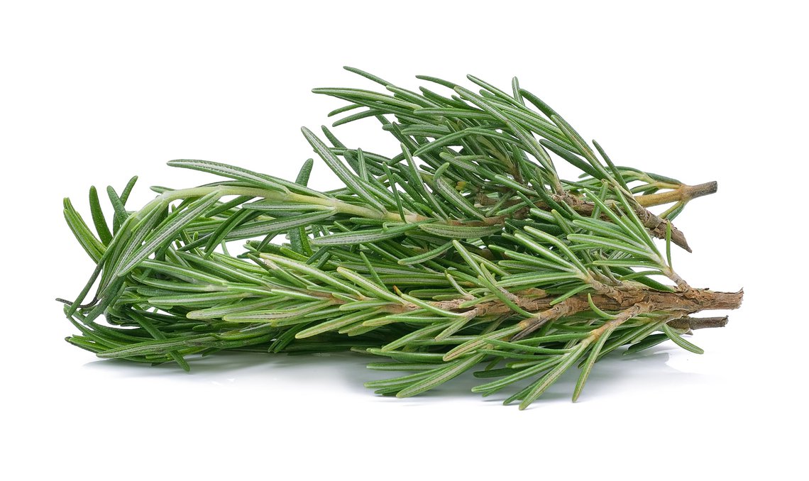 herb.jpg